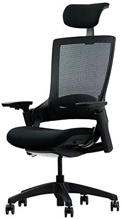 Ergotopia® NextBack | Ergonomischer Bürostuhl gegen Rückenschmerzen | Mit integrierter Lordosenstütze | Zusätzliche Kopfstütze gegen Nackenschmerzen (Schwarz)